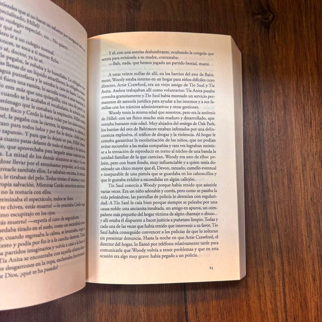 El libro de los Baltimore