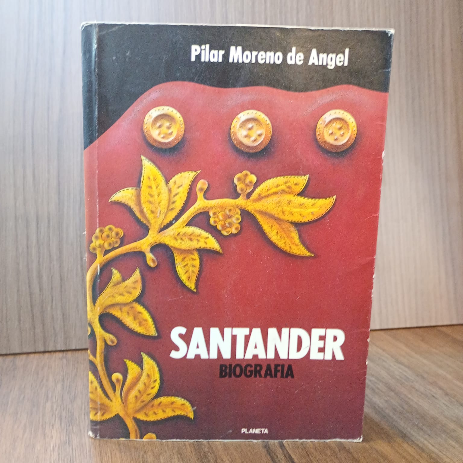 Santander, biografía