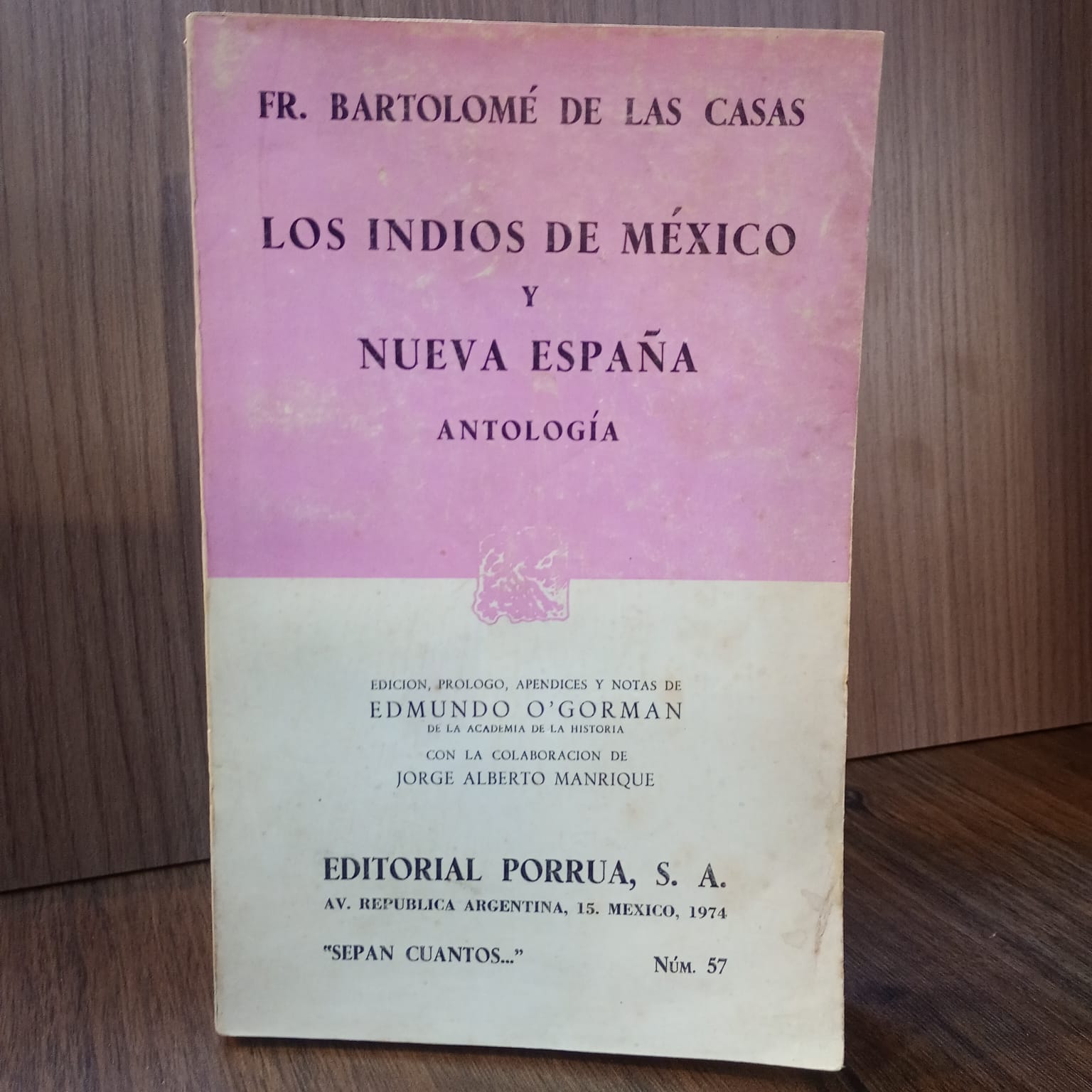 Los indios de México y Nueva España