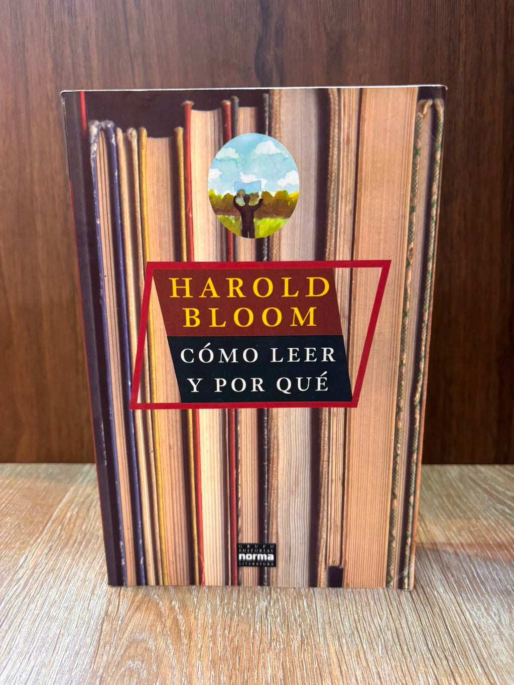 Cómo leer y por qué