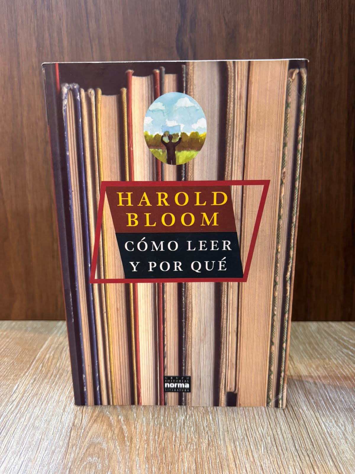 Cómo leer y por qué
