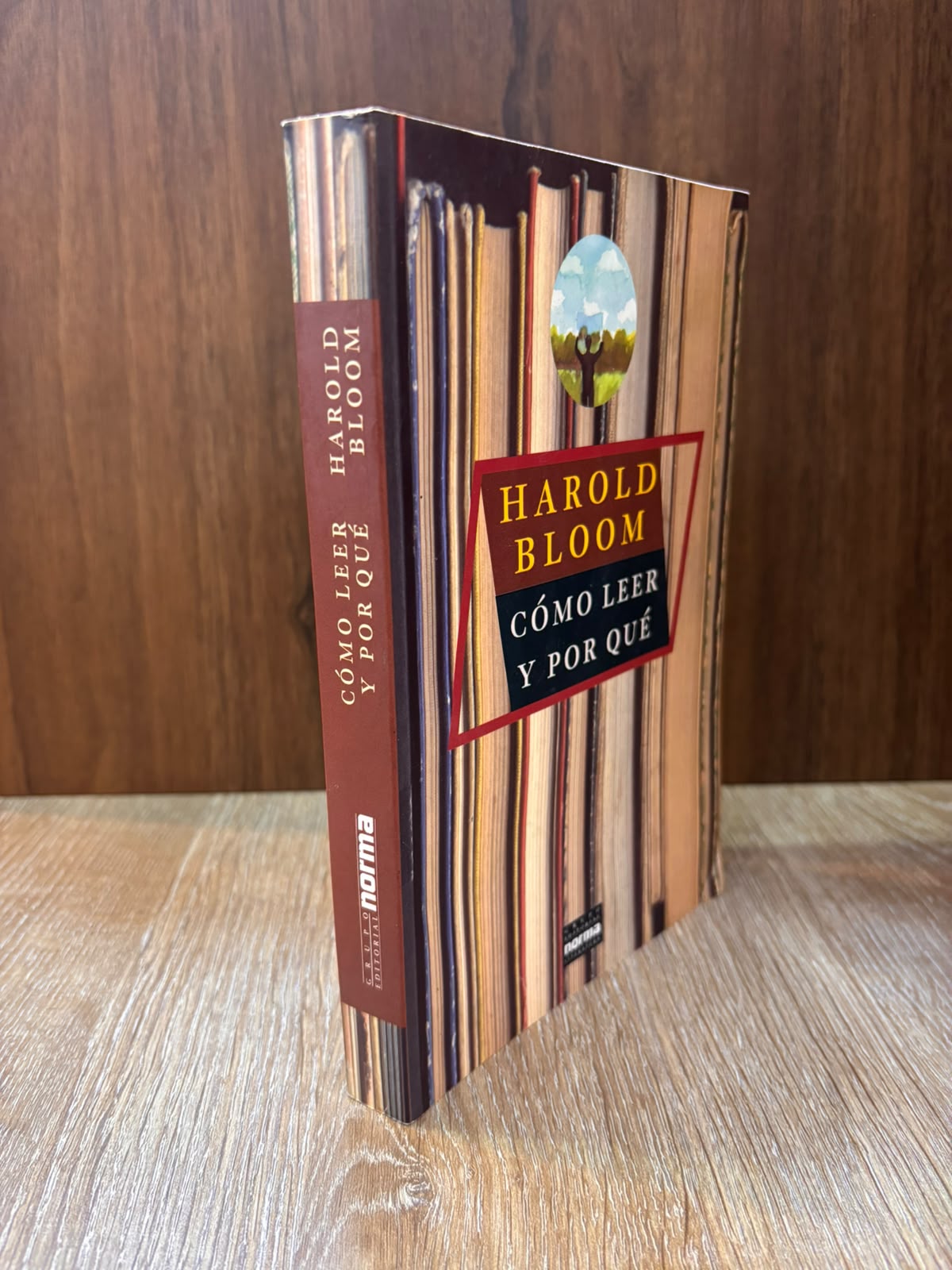 Cómo leer y por qué