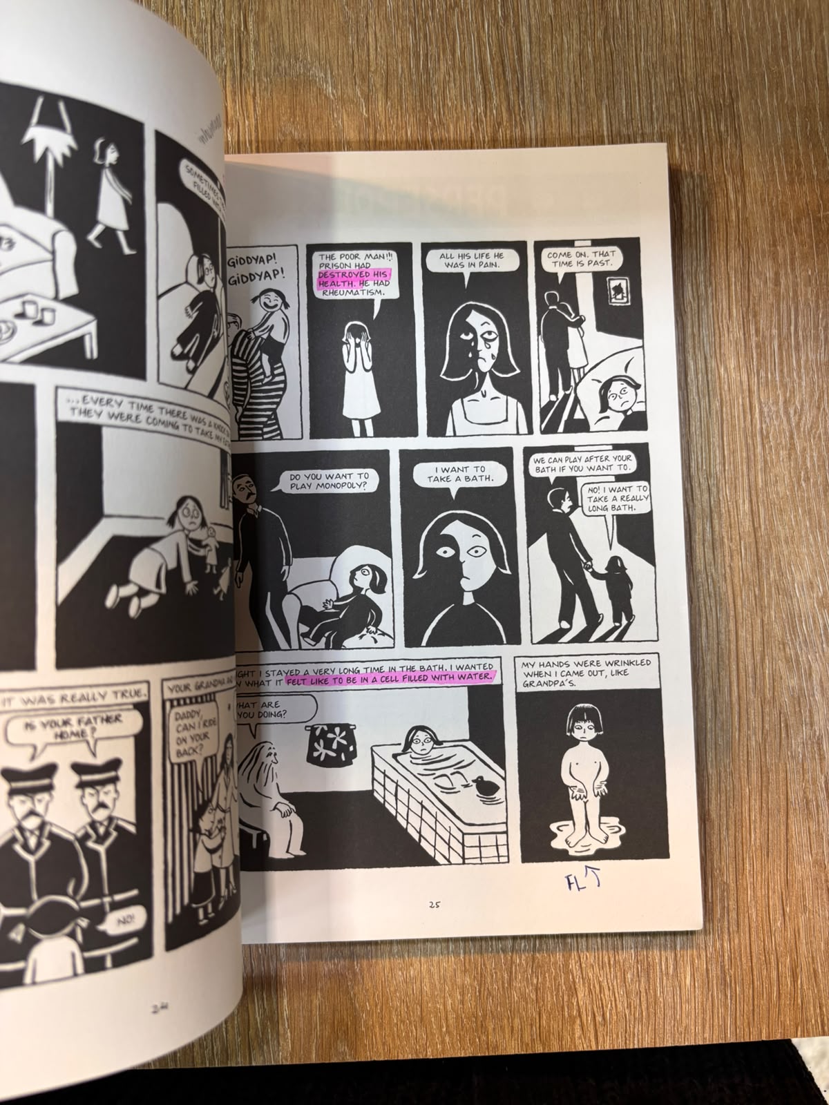 Persepolis, the story of a childhood