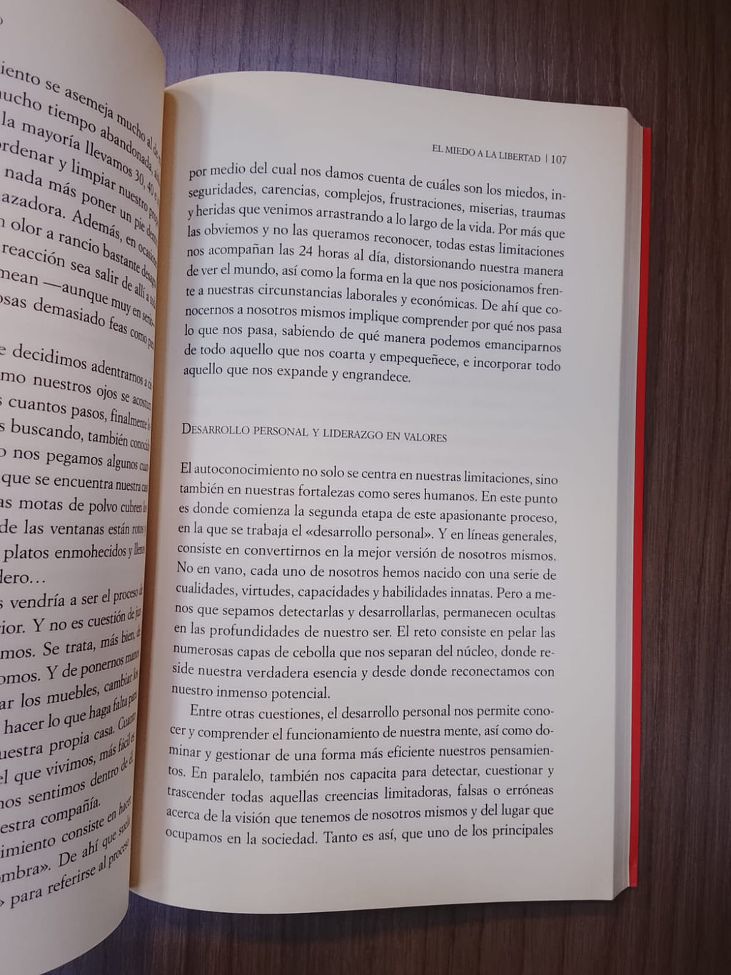 Qué harías si no tuvieras miedo