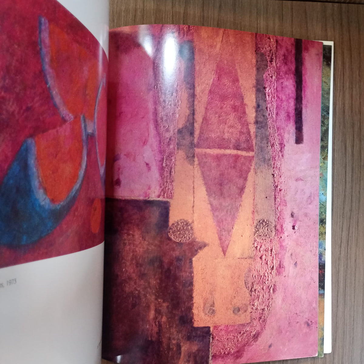 Rufino Tamayo. Pintura, dibujo y gráfica