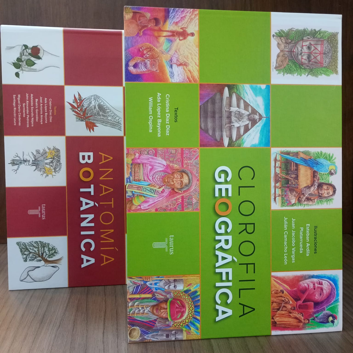 Clorofila Geográfica / Anatomía Botánica (2 Tomos)