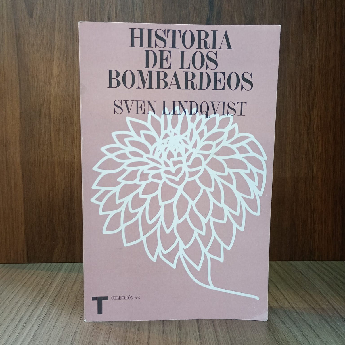 Historia de los bombardeos