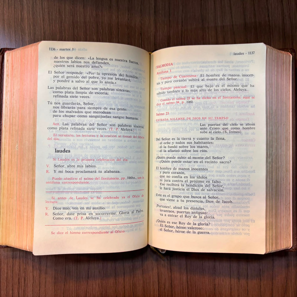 Liturgia de las Horas según el rito Romano, Vol. 2
