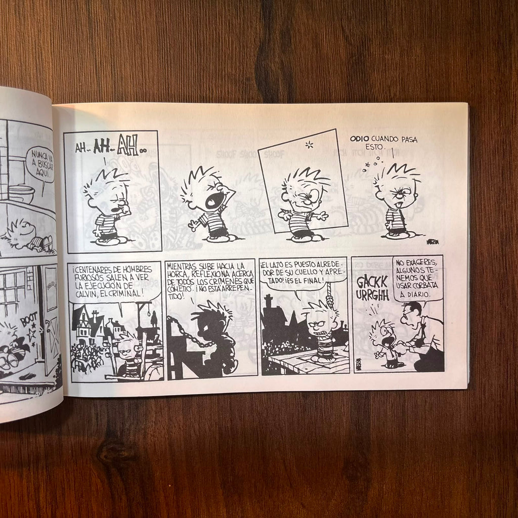 Calvin y Hobbes 10