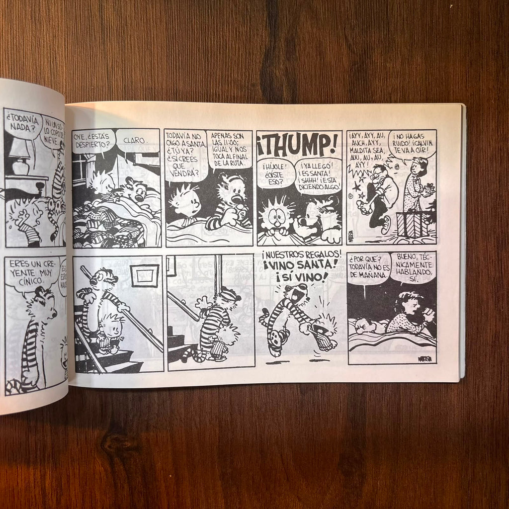 Calvin y Hobbes 10