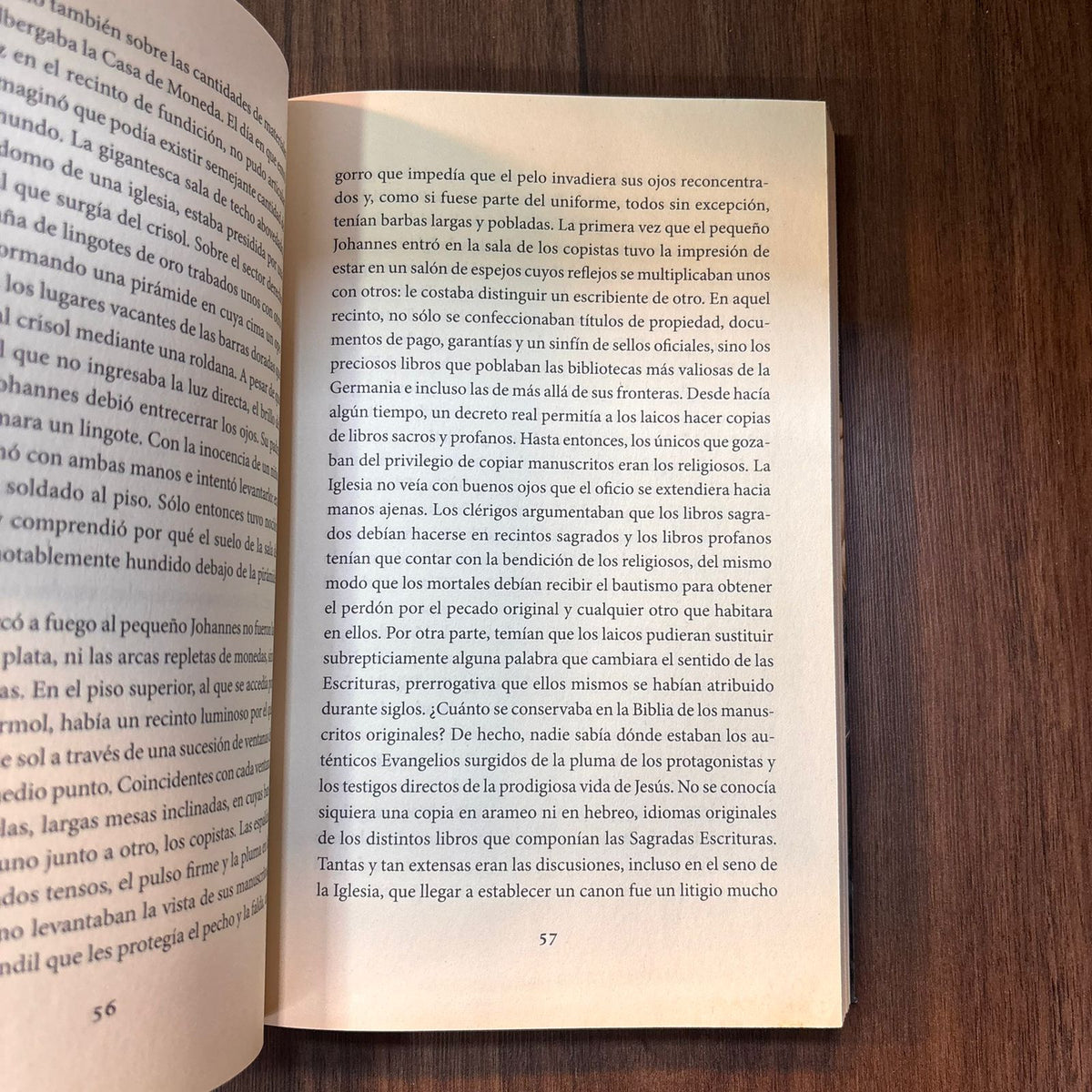 El libro de los placeres prohibidos