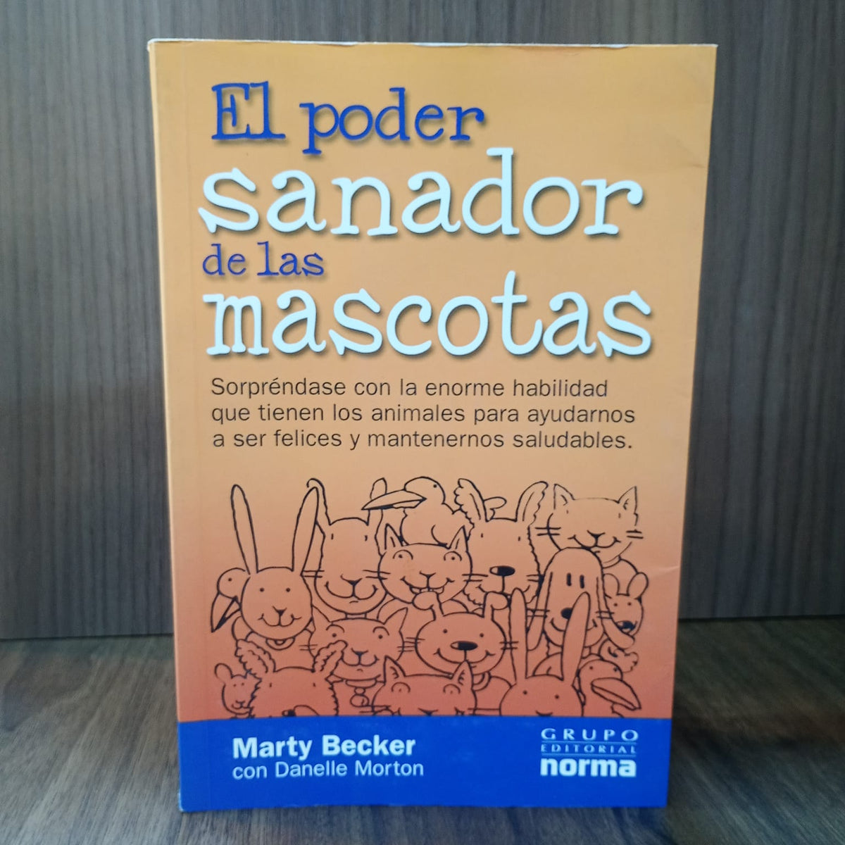 El poder sanador de las mascotas