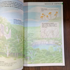 Enciclopedia Mega: Naturaleza y Ecología