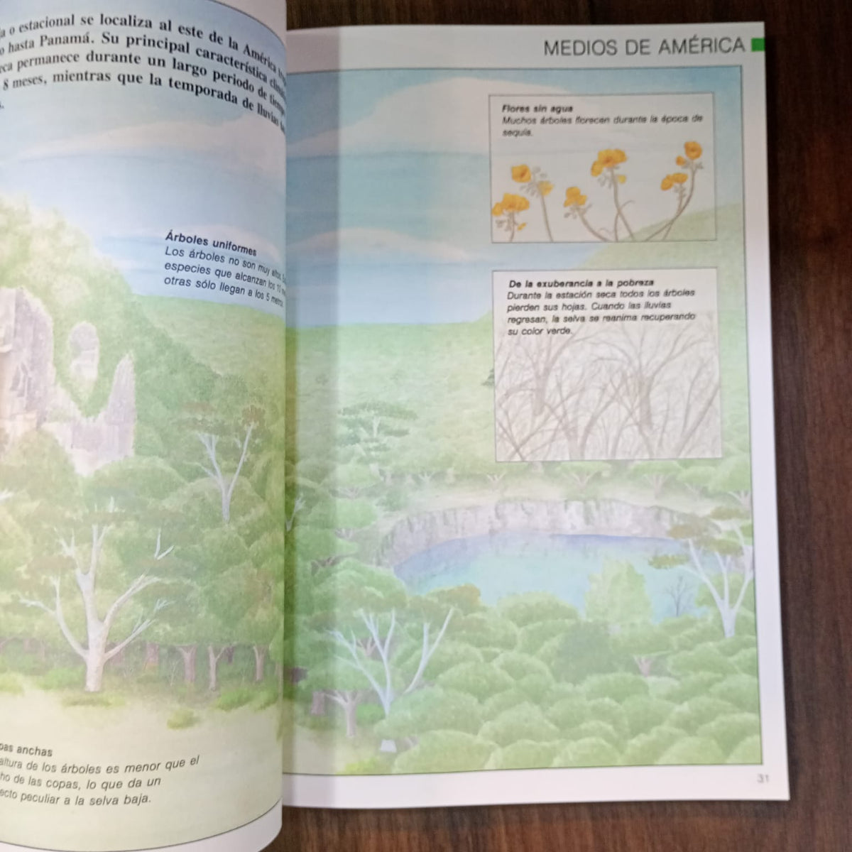 Enciclopedia Mega: Naturaleza y Ecología