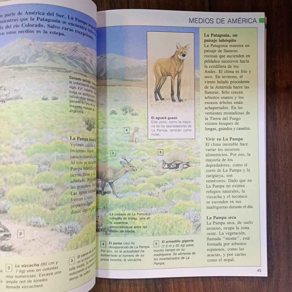 Enciclopedia Mega: Naturaleza y Ecología