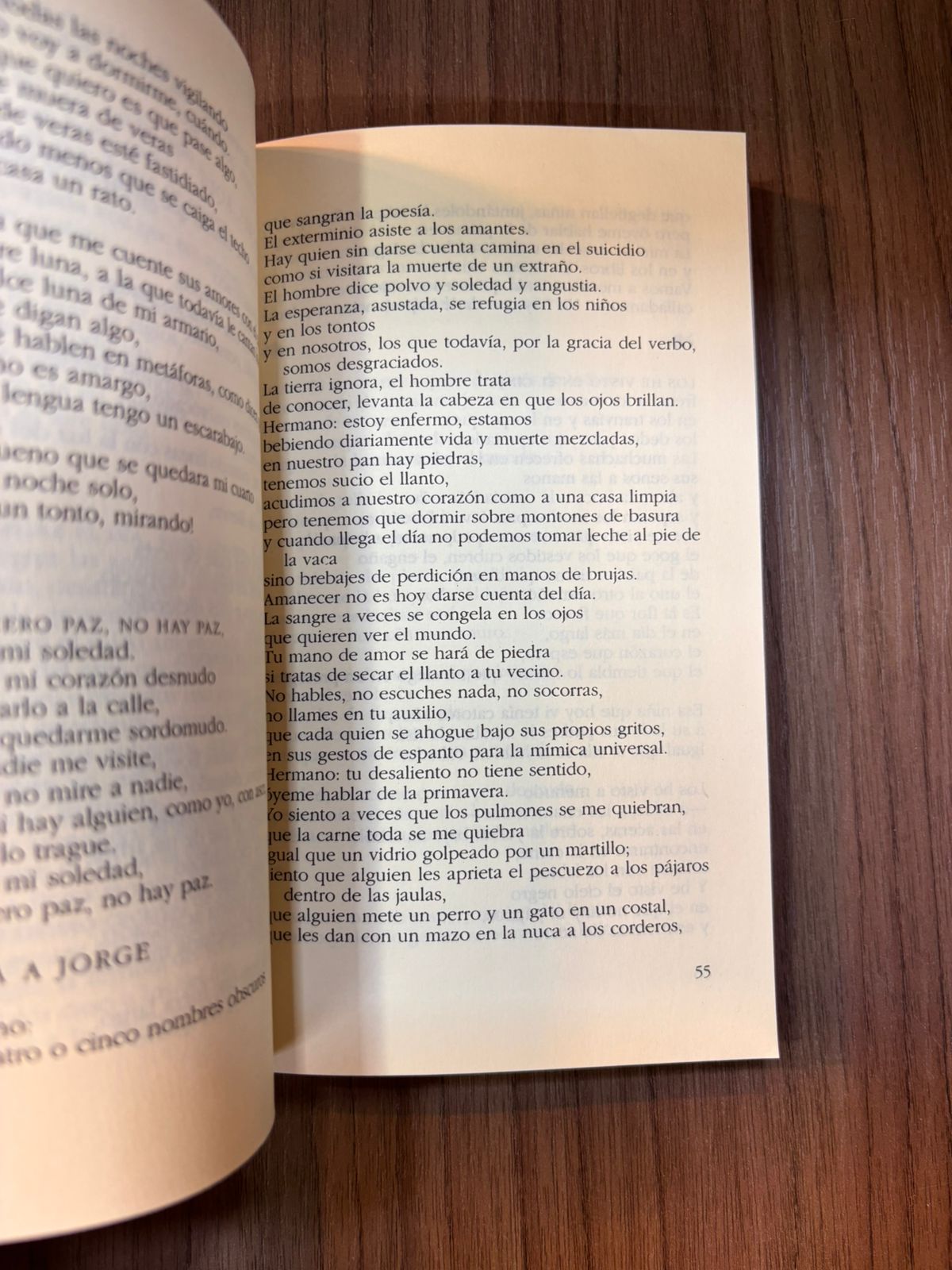 Recuento de poemas 1950-1993