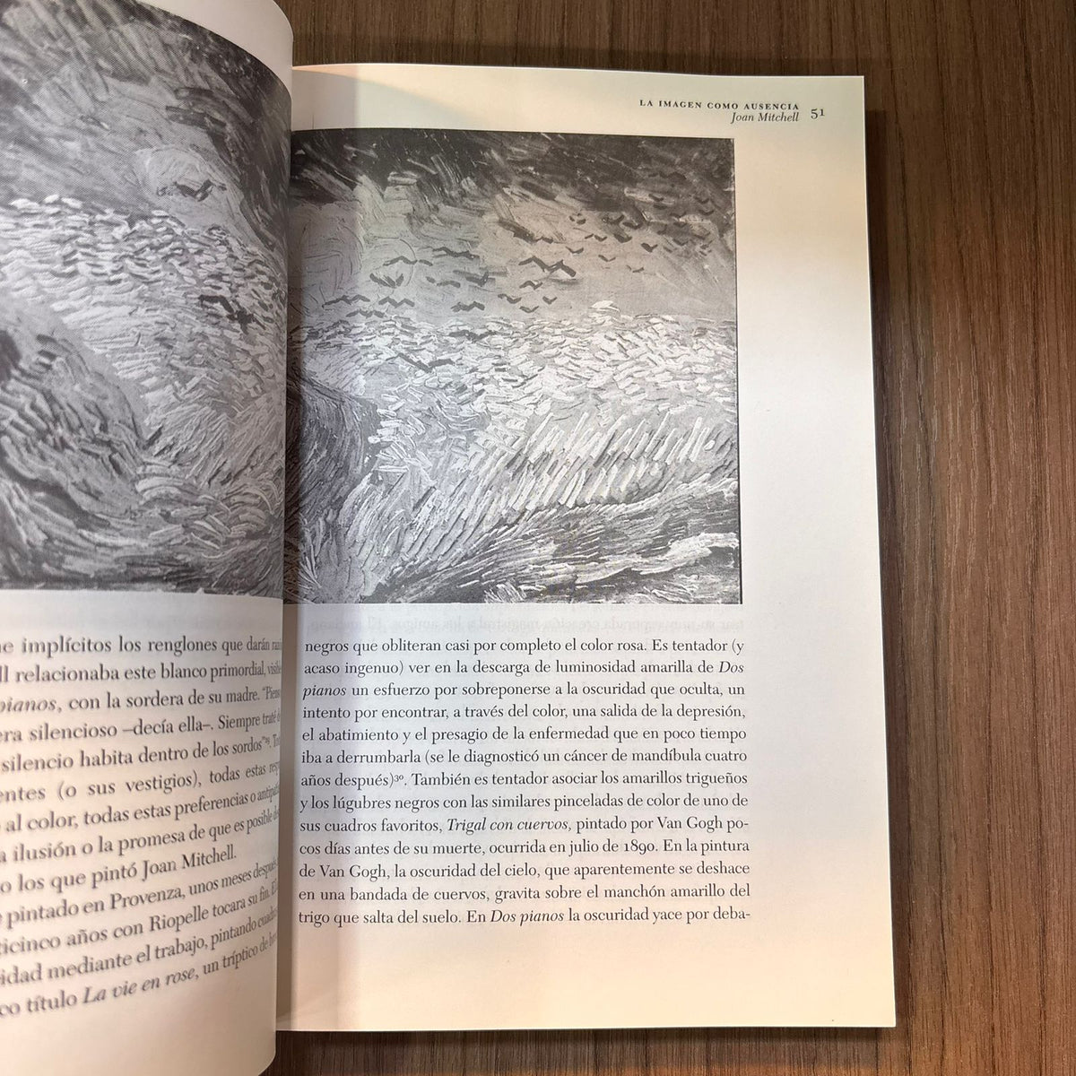 Leyendo imágenes: Una historia privada del arte