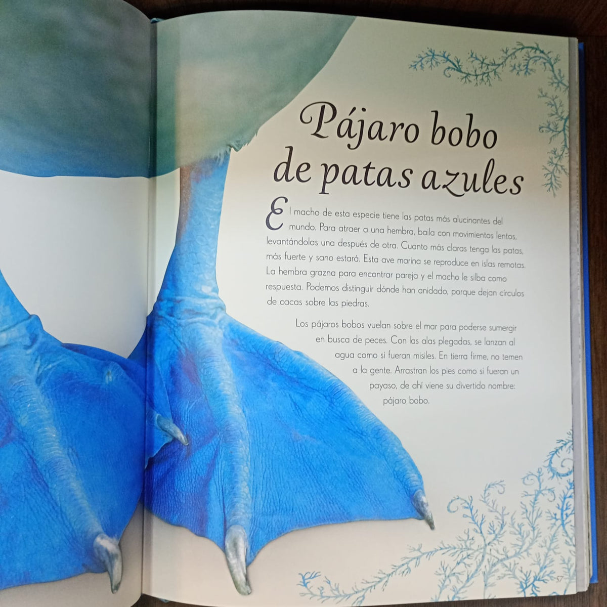 Antología de aves extraordinarias