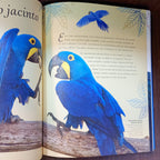 Antología de aves extraordinarias