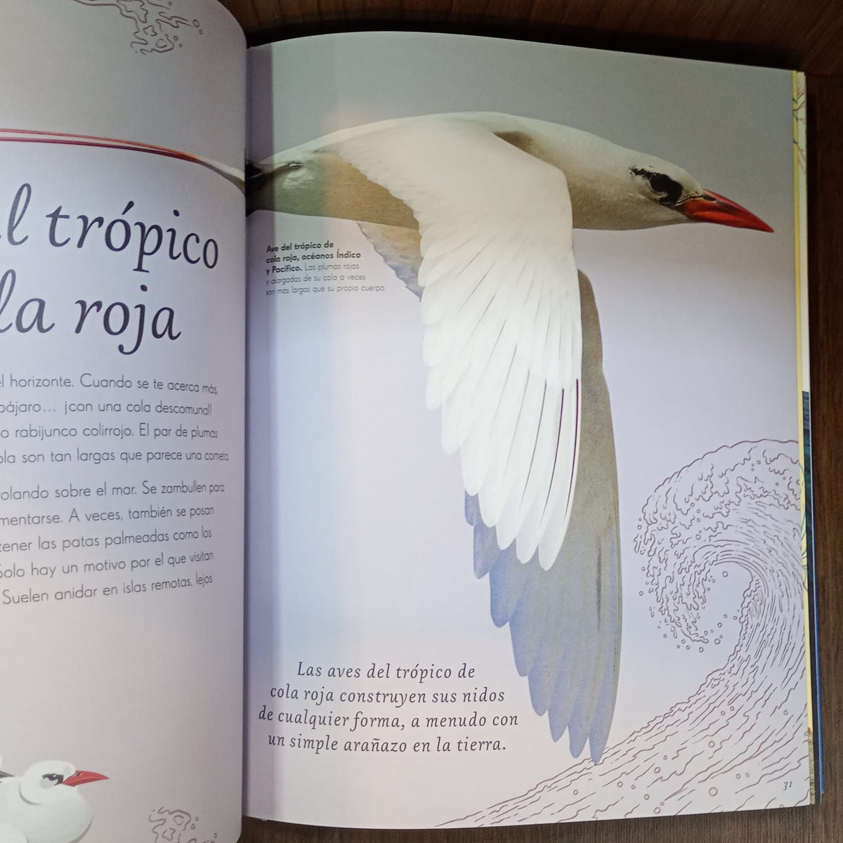 Antología de aves extraordinarias