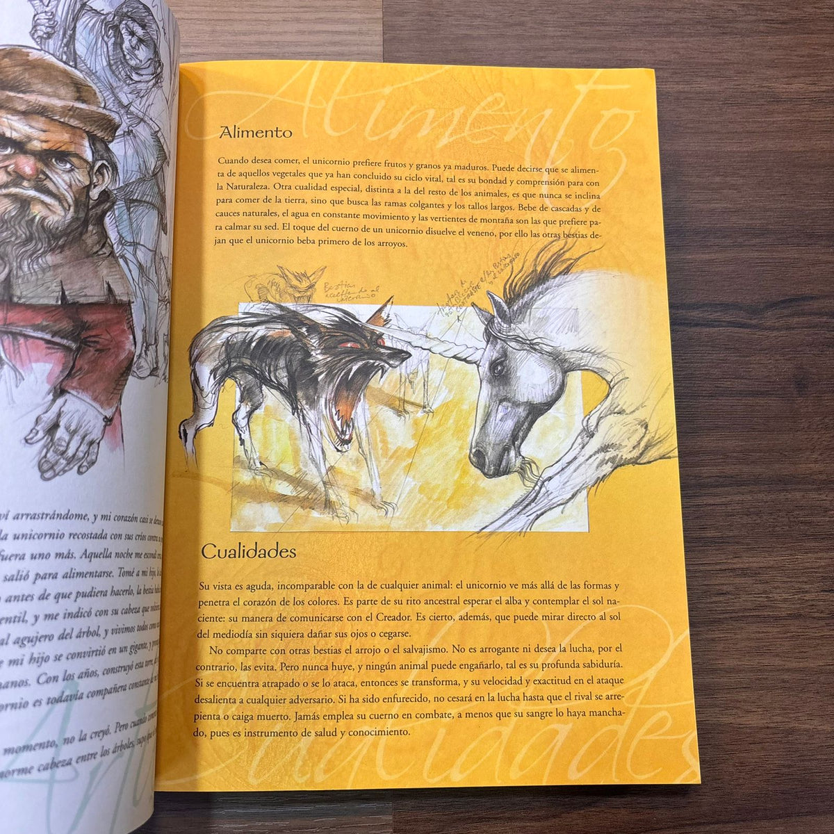 El mágico mundo de los unicornios