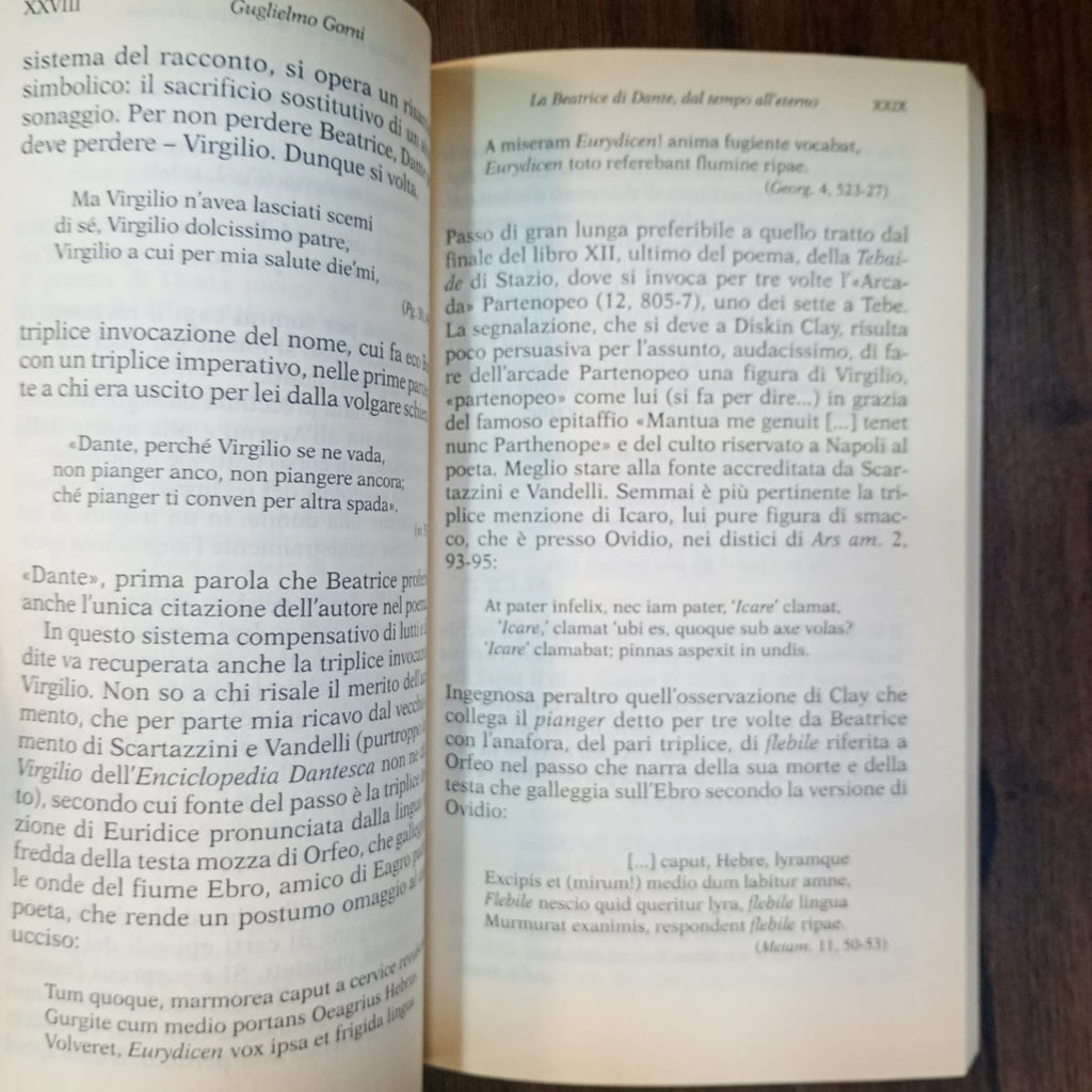 Vita nova (italiano)
