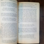 Vita nova (italiano)