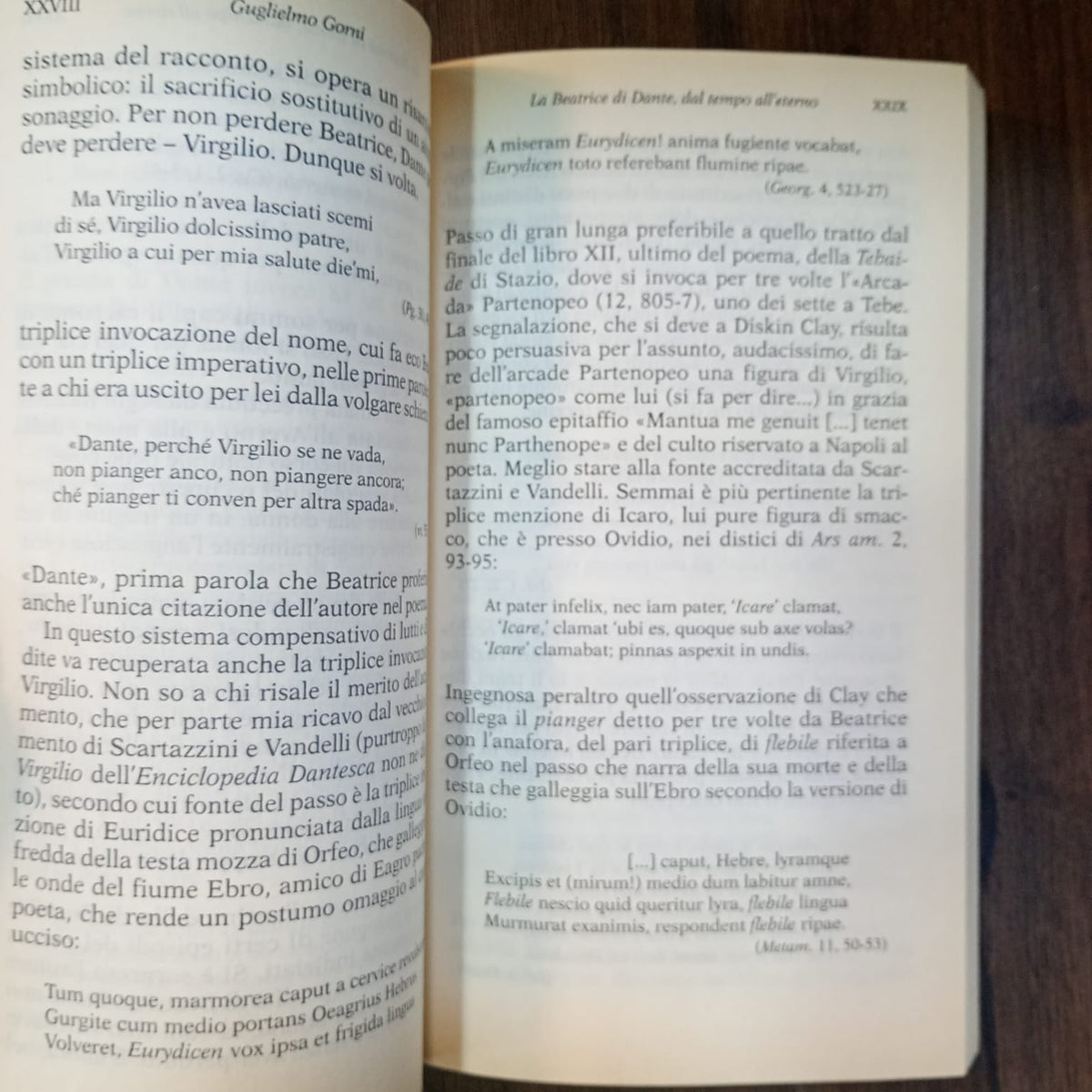 Vita nova (italiano)