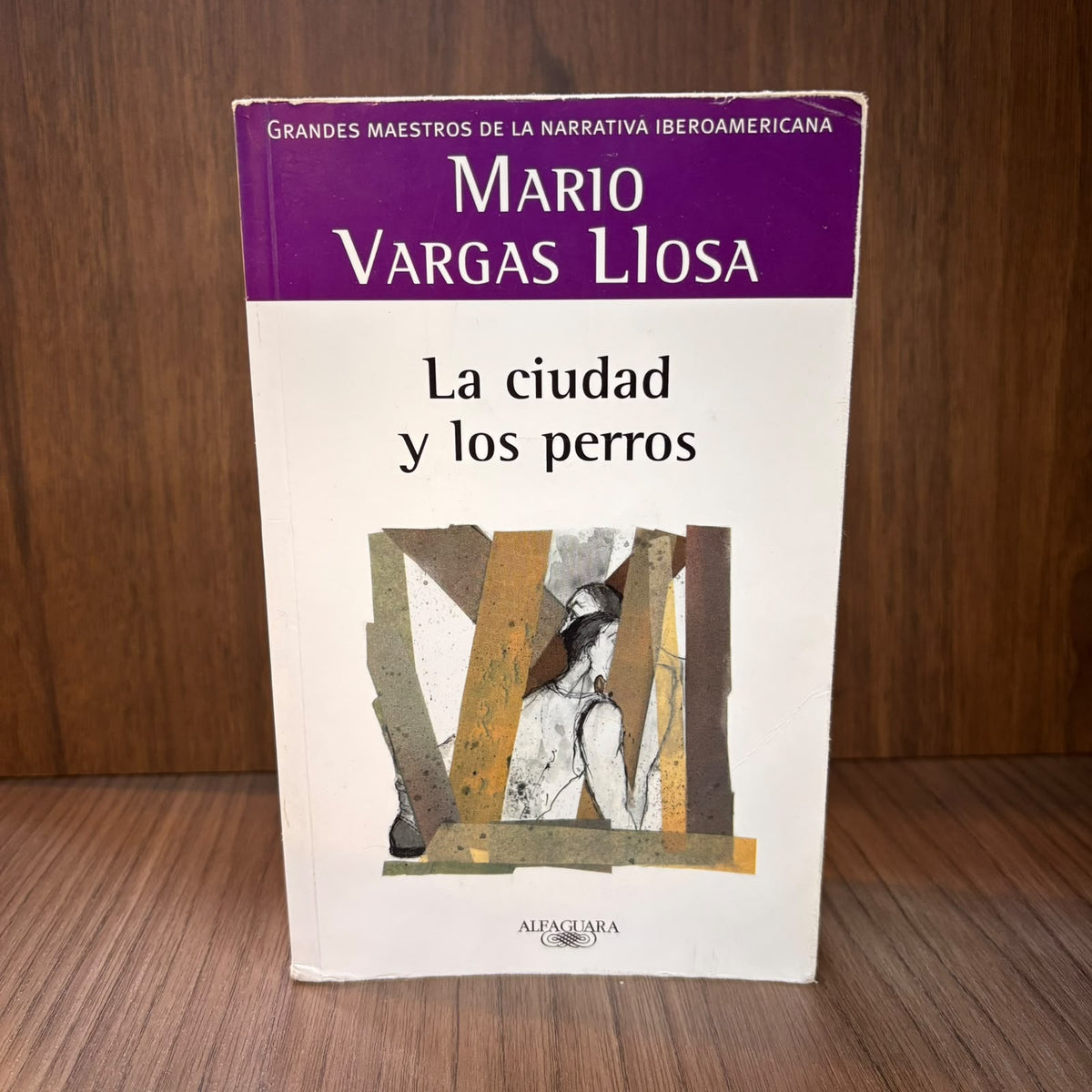 La ciudad y los perros