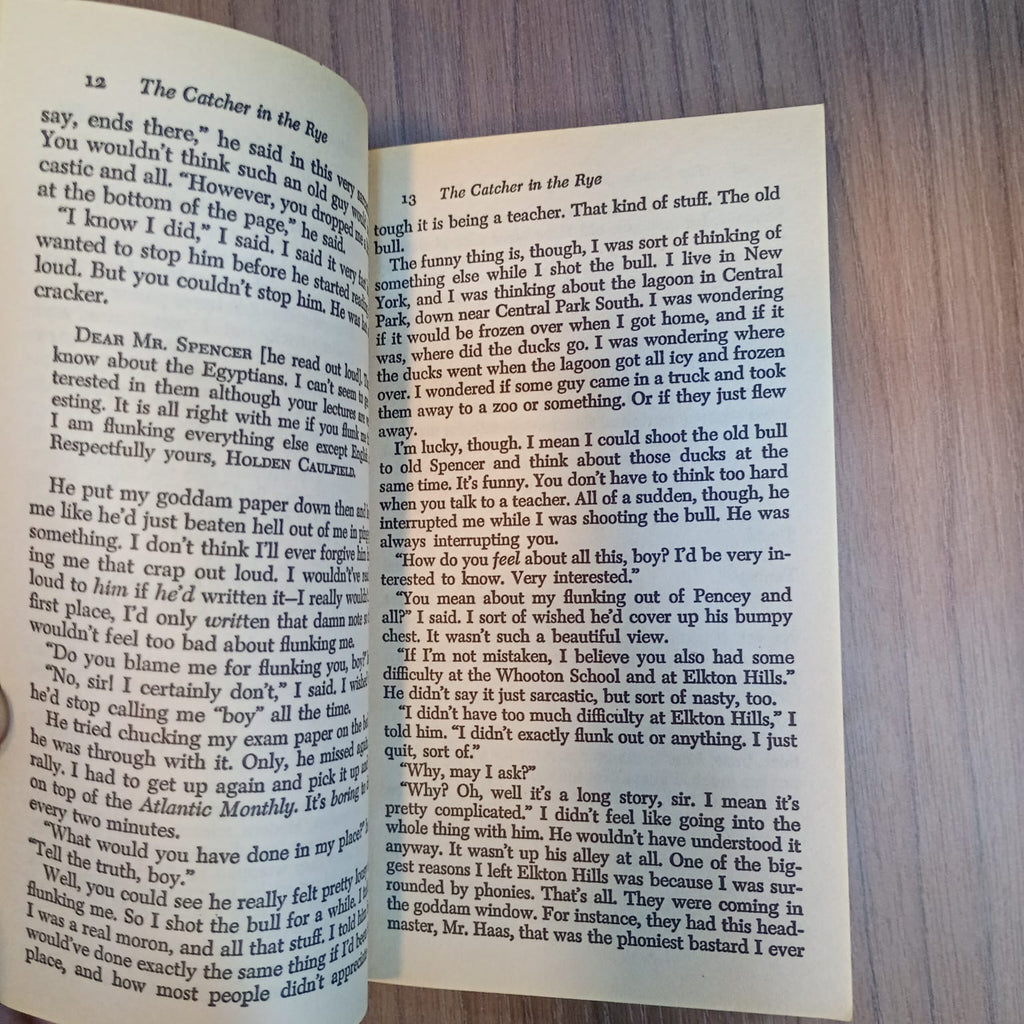 The Catcher in the Rye