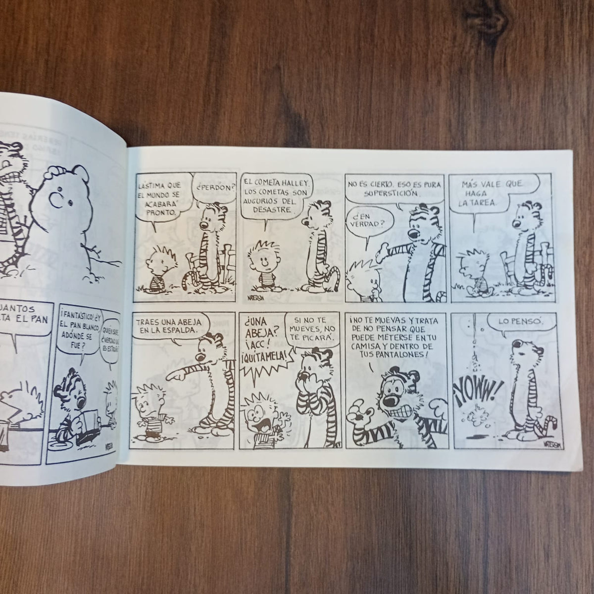Calvin y Hobbes 2