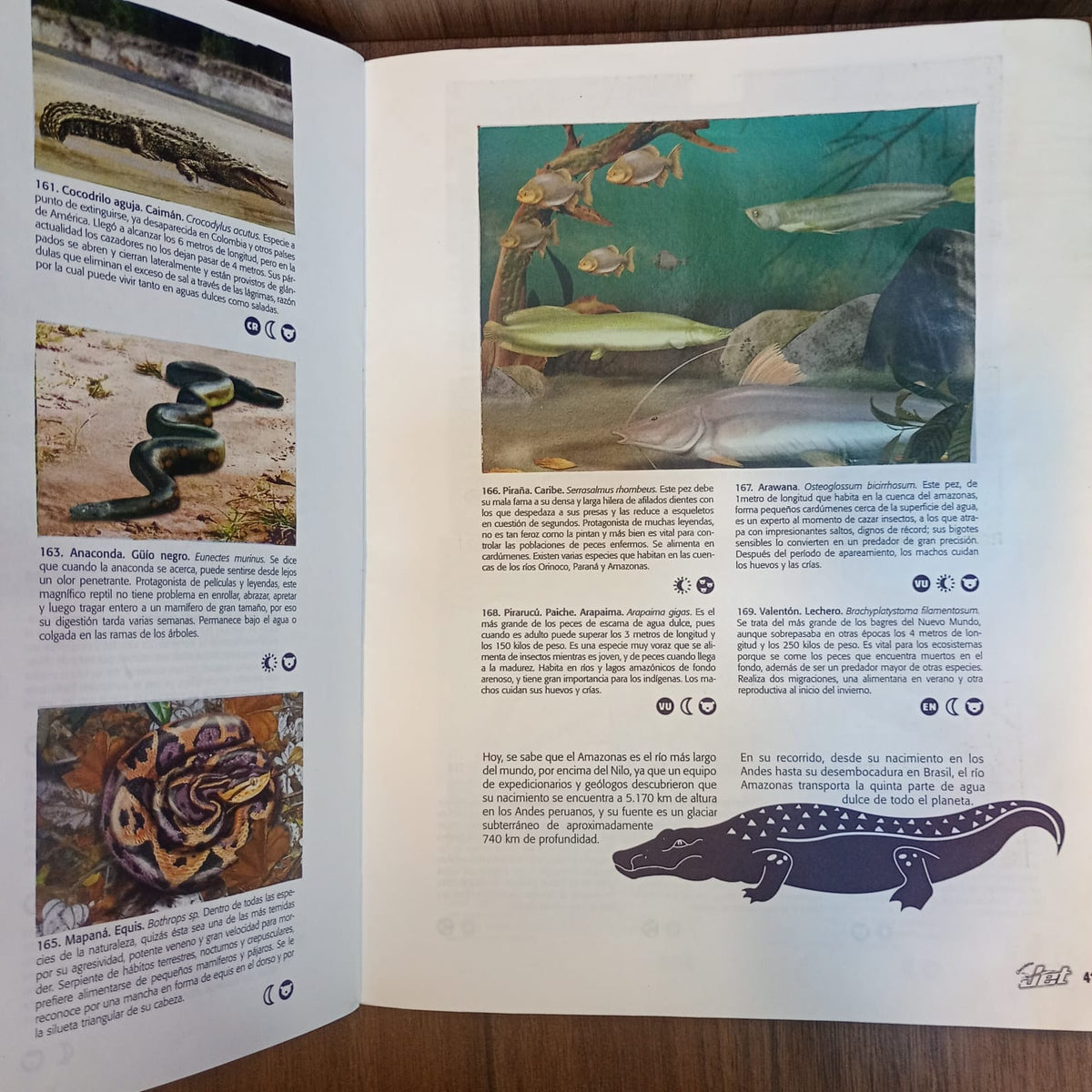 Álbum Jet: El mundo de los animales
