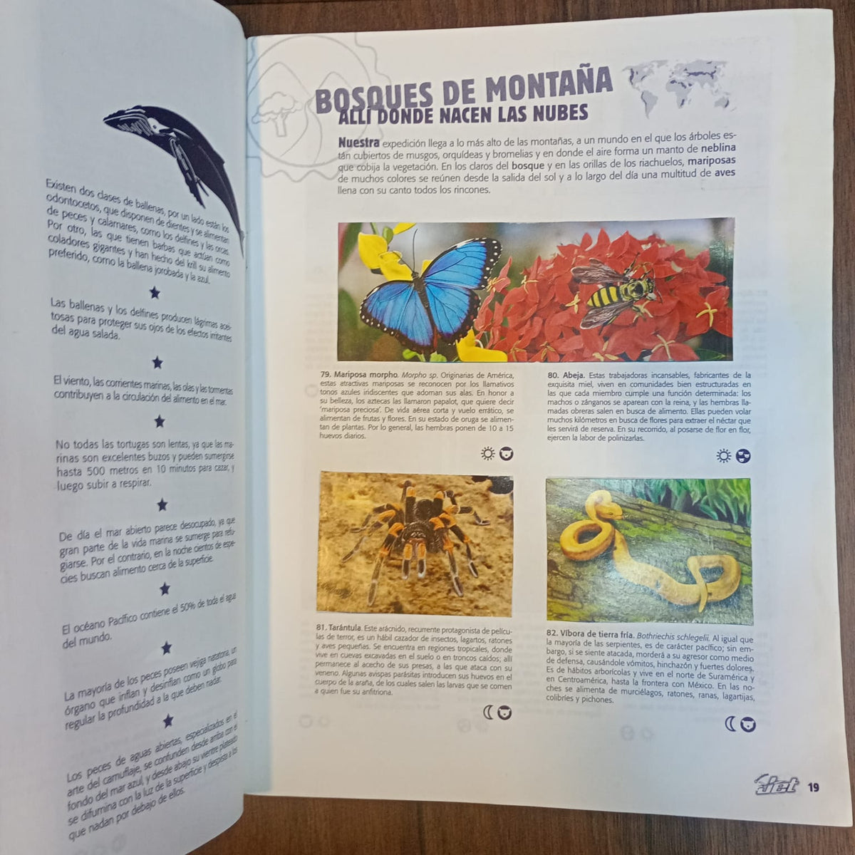 Álbum Jet: El mundo de los animales