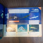 Album Jet. Planeta sorprendente