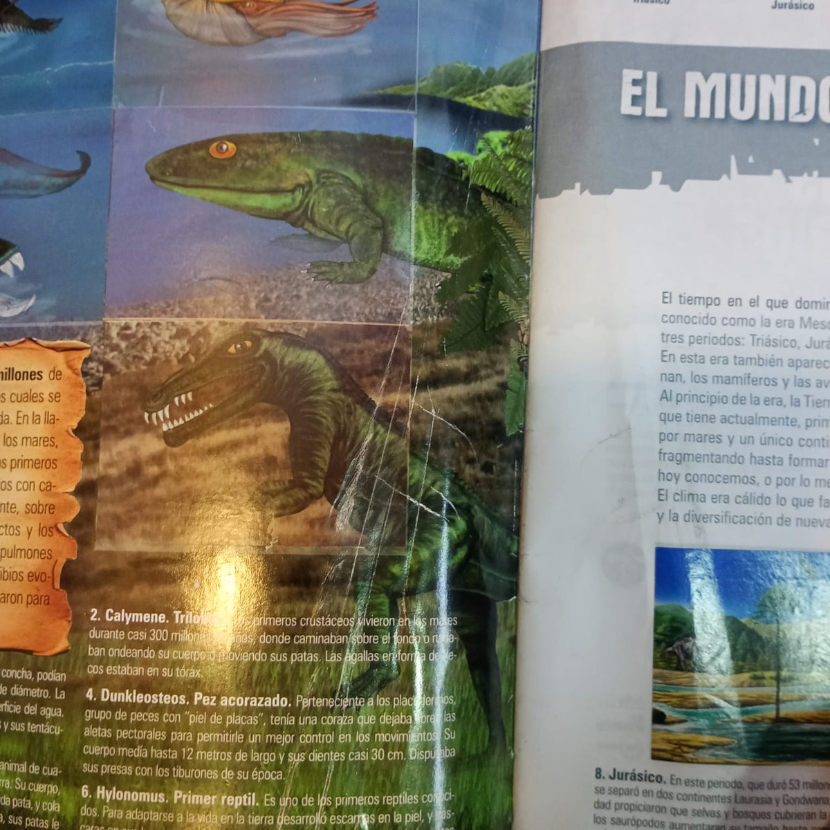 El mundo de los animales prehistóricos y en peligro de extinción