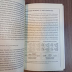 El cerebro infantil