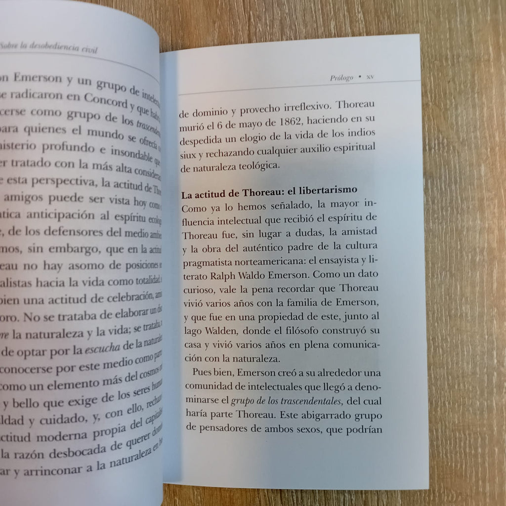 Sobre la desobediencia civil
