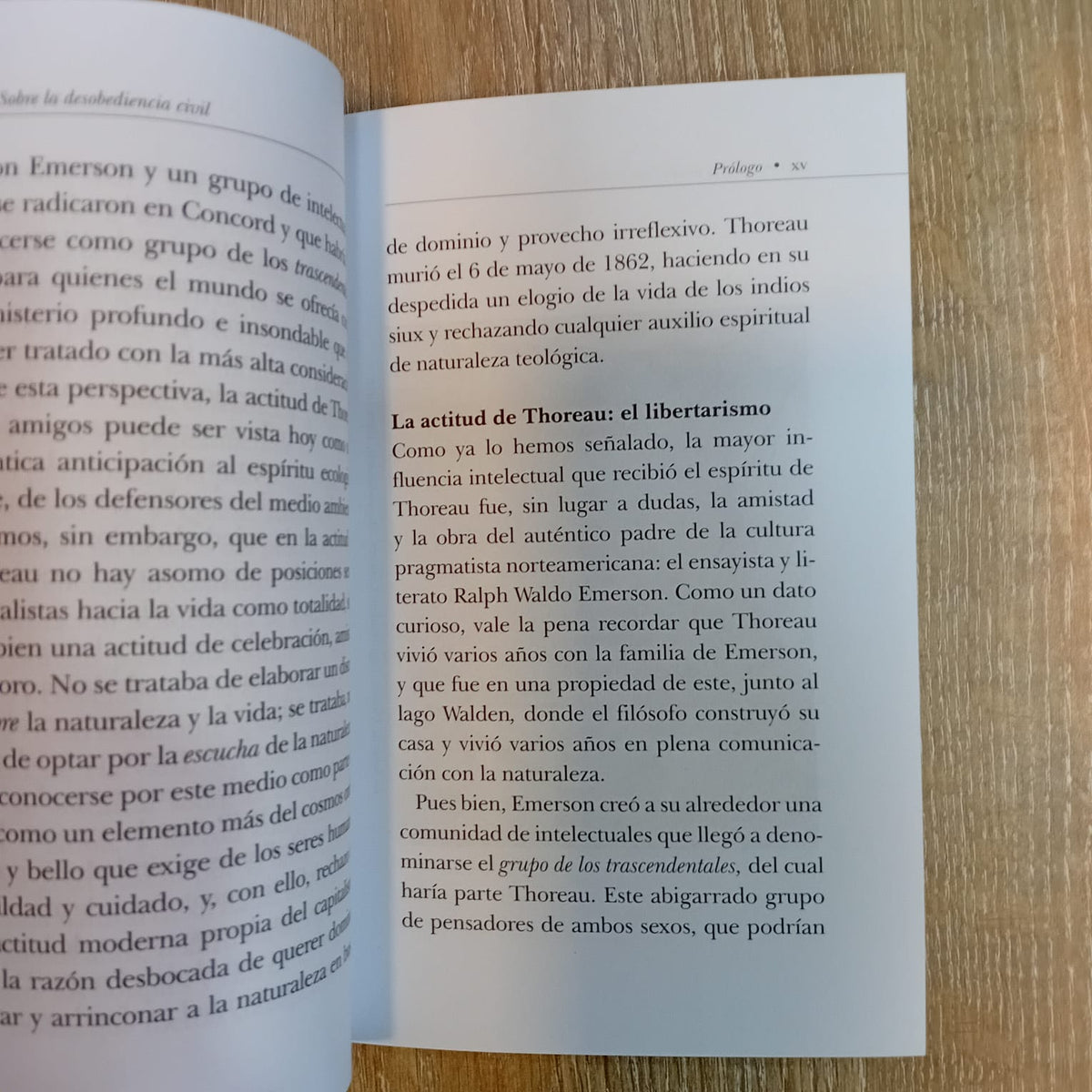 Sobre la desobediencia civil