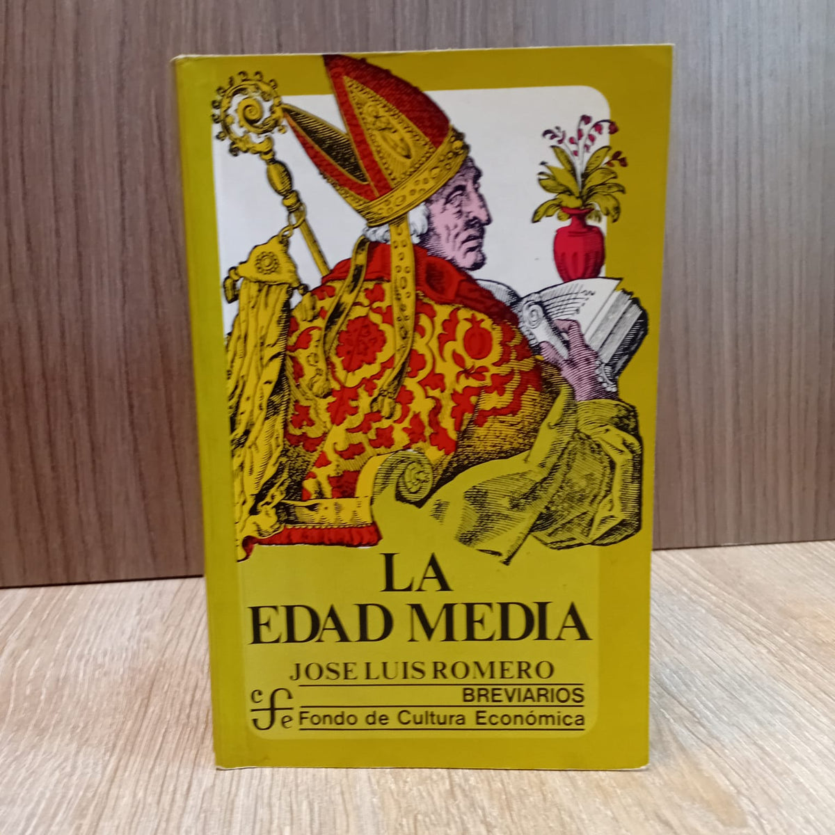 La Edad Media