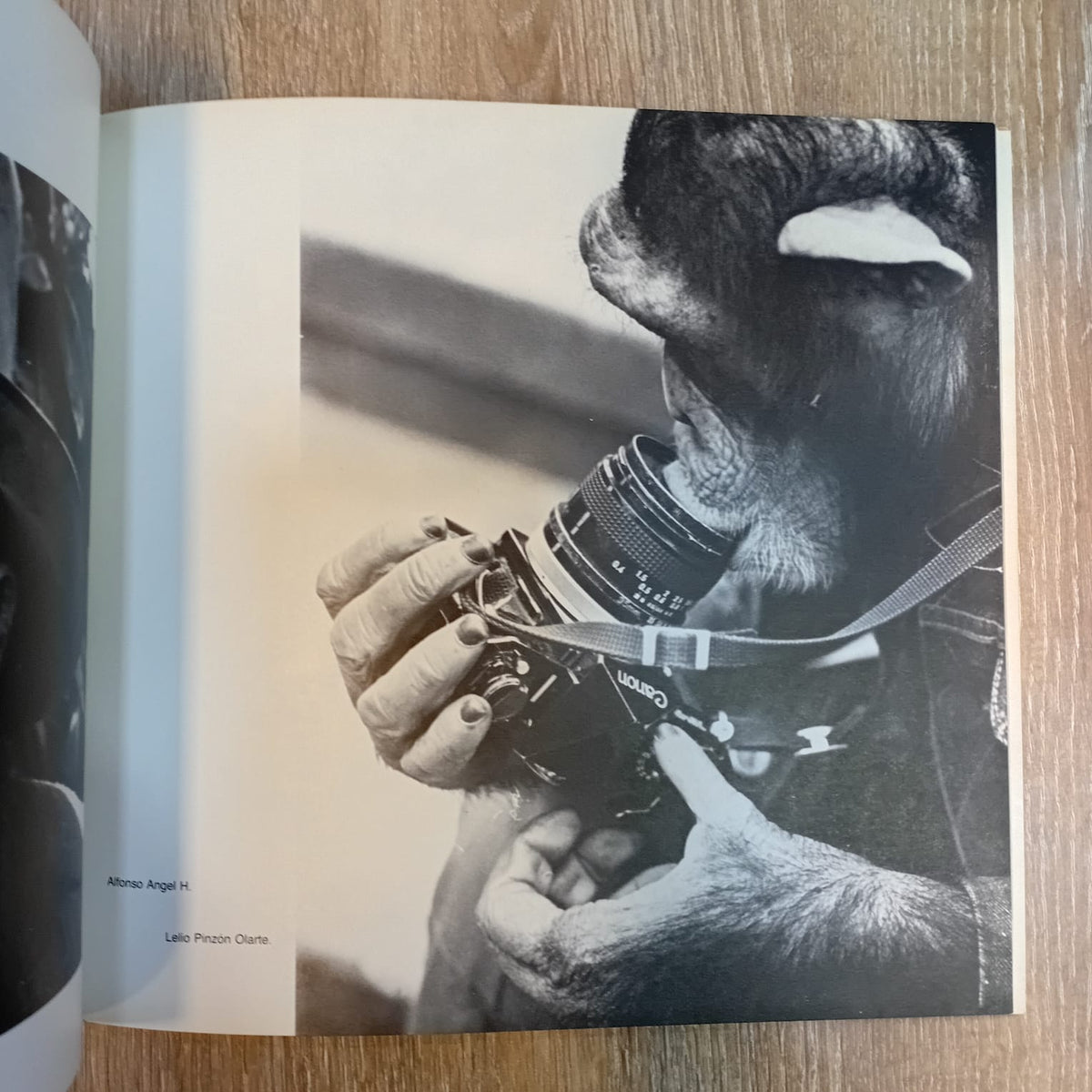 Periodismo gráfico: Seminario de fotografía periodística