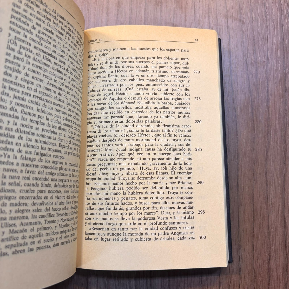 La Eneida (Biblioteca Personal Jorge Luis Borges)