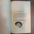 El cerebro y la inteligencia emocional