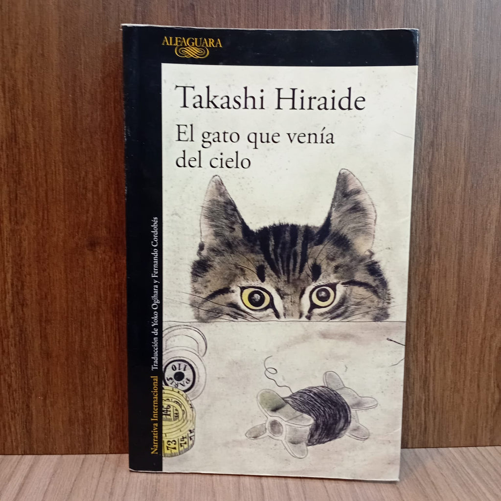El gato que venía del cielo