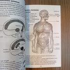 Mente y cerebro para principiantes