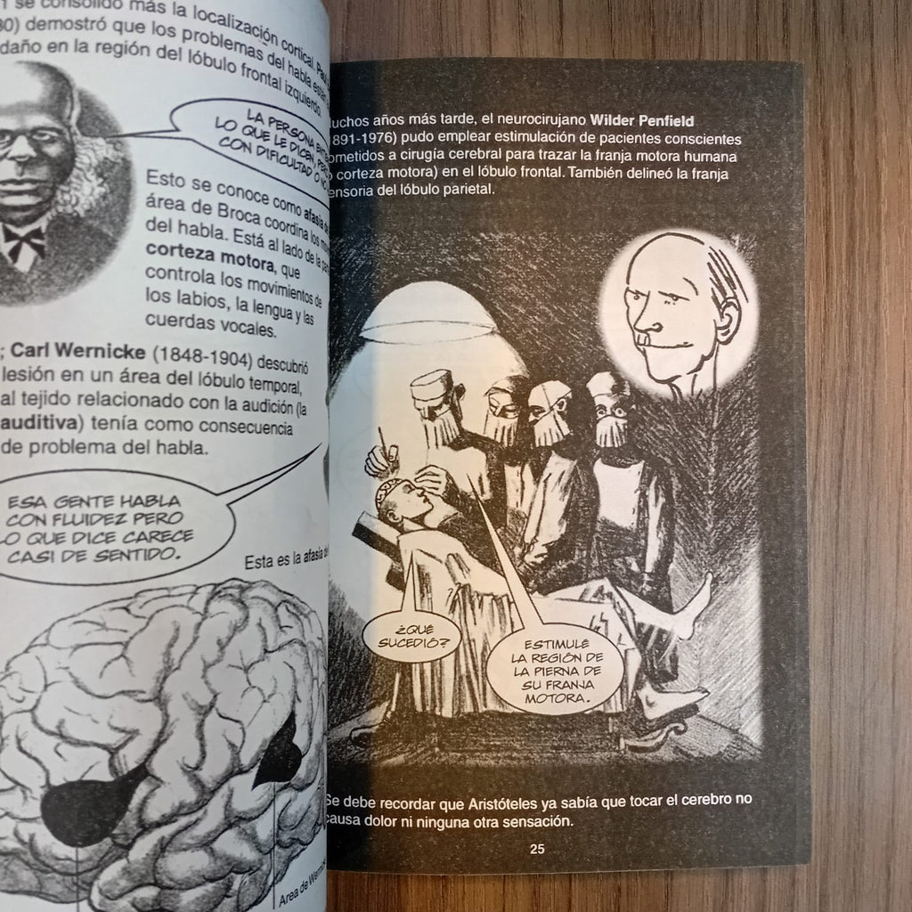 Mente y cerebro para principiantes