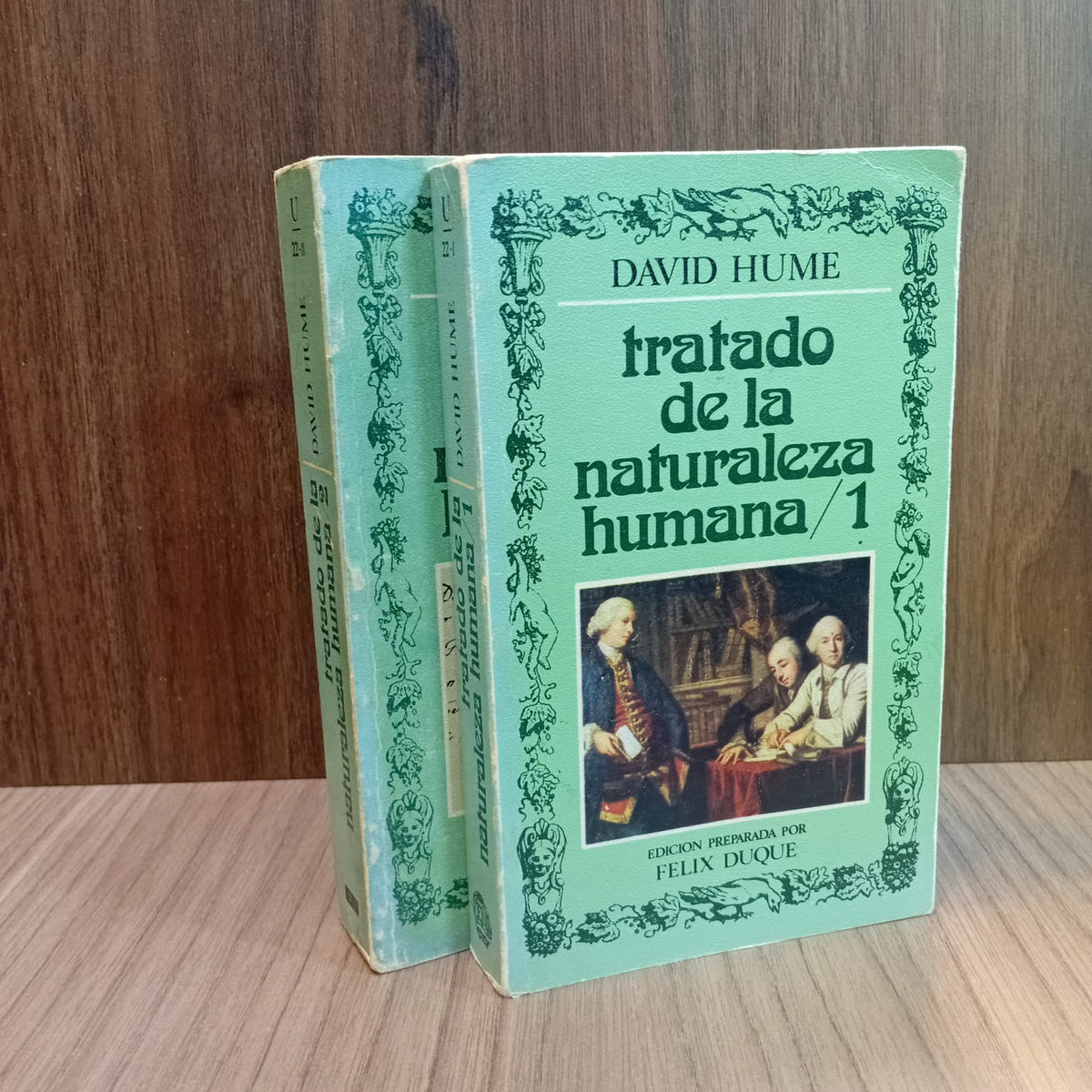 Tratado de la naturaleza humana (Tomos I y II)