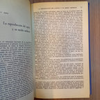 La acumulación del capital