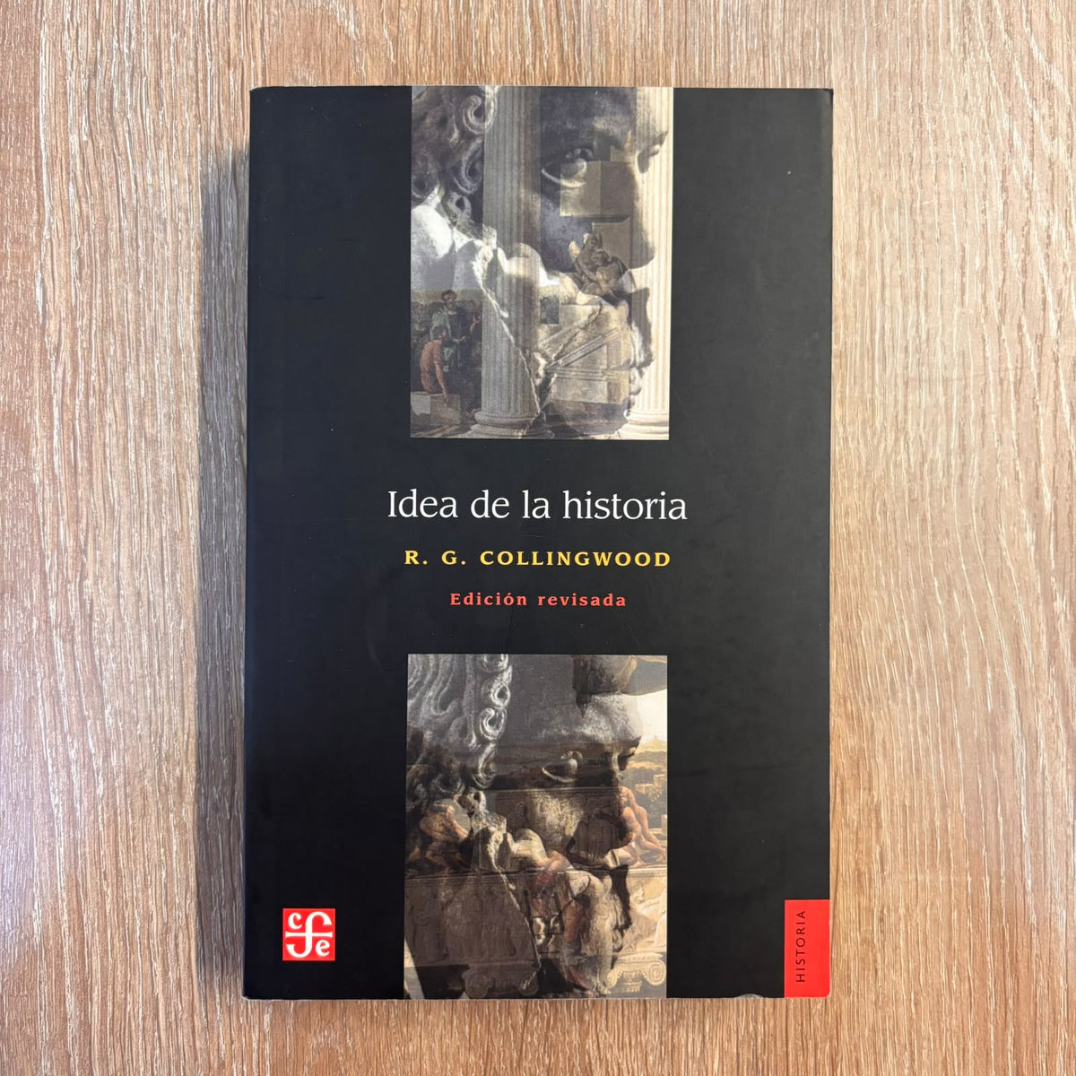 Idea de la historia