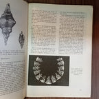 Arte colombiano: arte aborigen