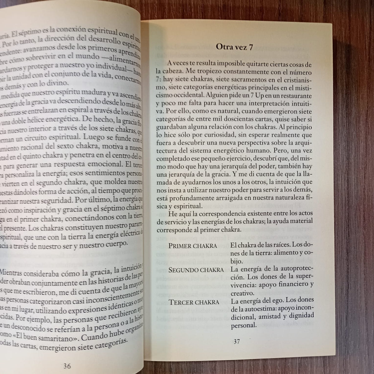 Virtudes curativas de la col y otras verduras